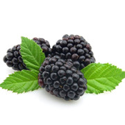 blackberry