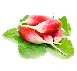 radish
