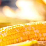 Selection and Bio Research